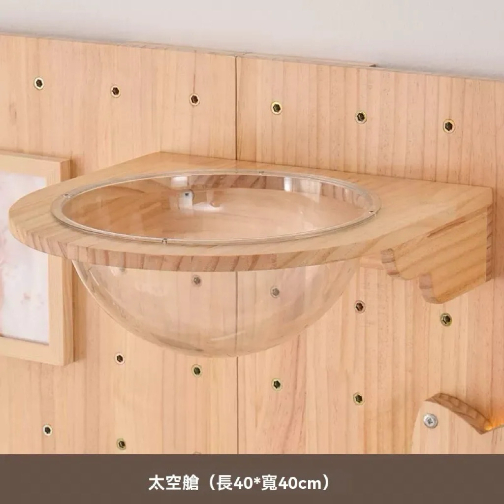 tw-11134207-81ztq-mi73n7ywnshu1d