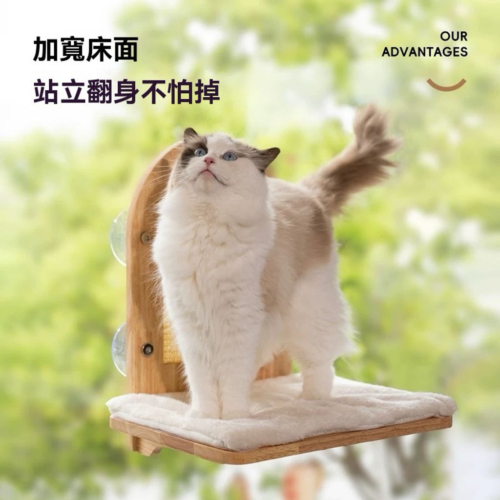 tw-11134207-7rbkb-m78qbt4h8qiq0b