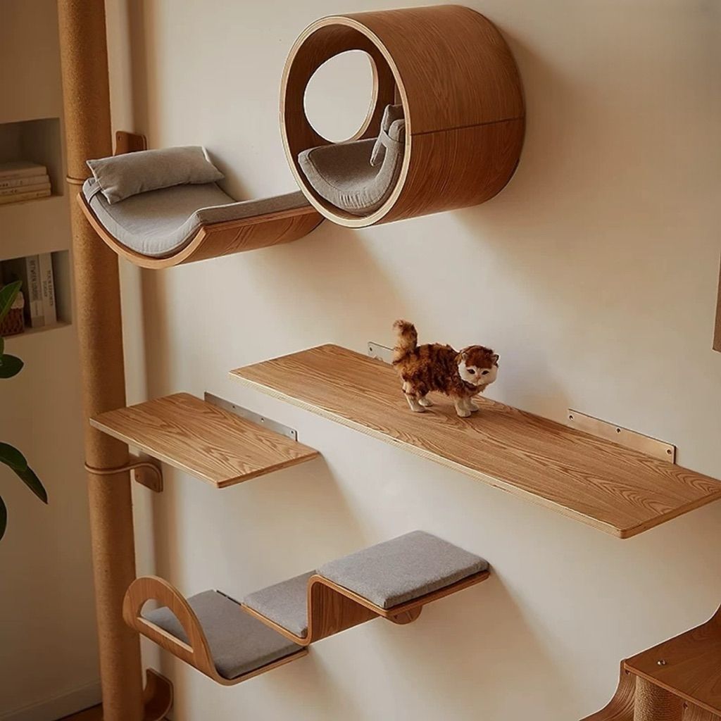 tw-11134207-81ztq-mdvlq1l82qrre3