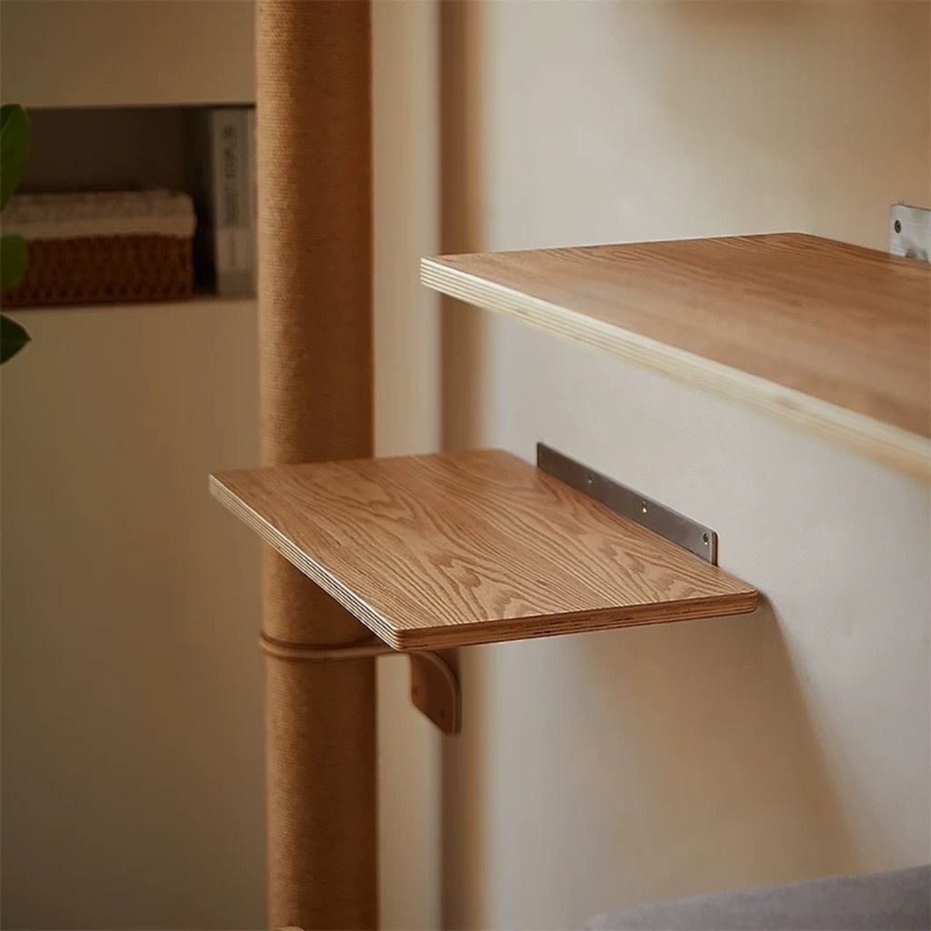 tw-11134207-81ztj-mdvlq1kjynt13a