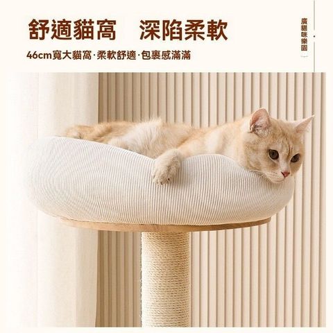 sg-11134201-7ravp-mab411cyhqav09