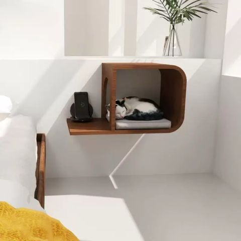 tw-11134207-81ztp-mdvu7a6lc35t49