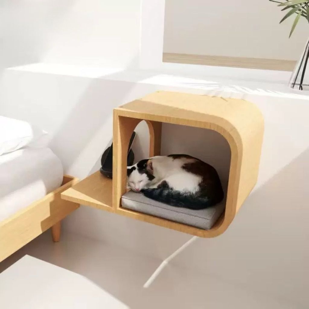 tw-11134207-81ztg-mdvu7a6lhpfn2f