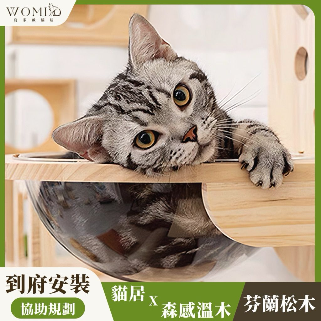 tw-11134207-7ra0p-mcr832304i6731