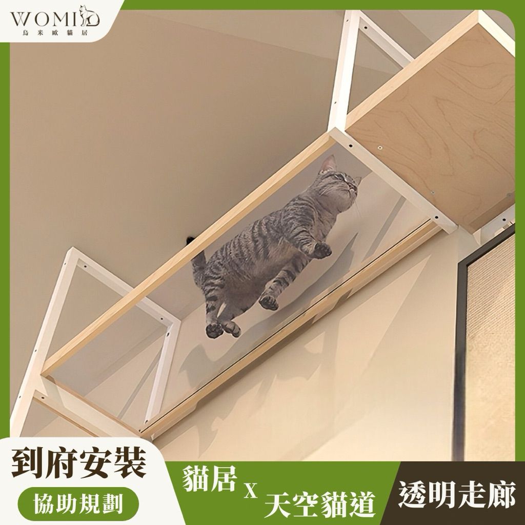 tw-11134207-81ztd-mg07knw09yq389