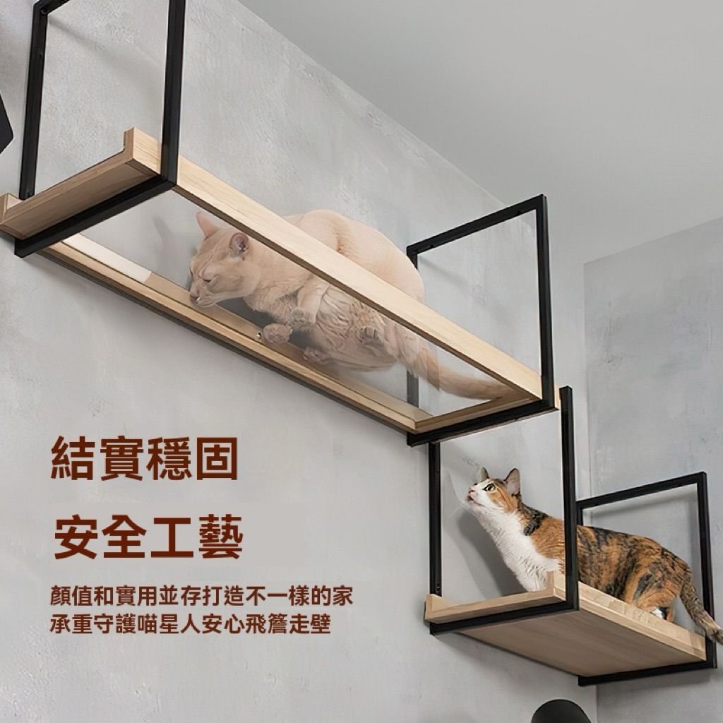 tw-11134207-81ztj-mg07knw72dje6d