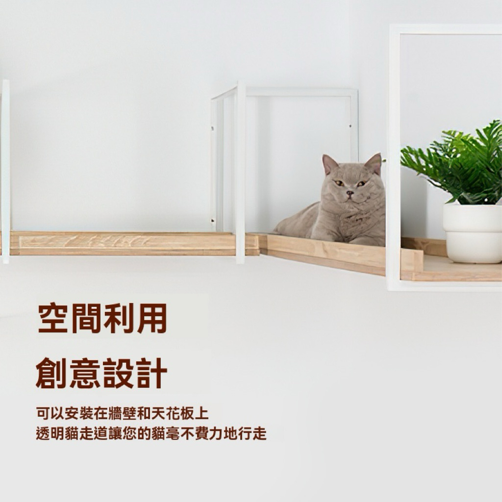 tw-11134207-81ztc-mg07knwaayob71
