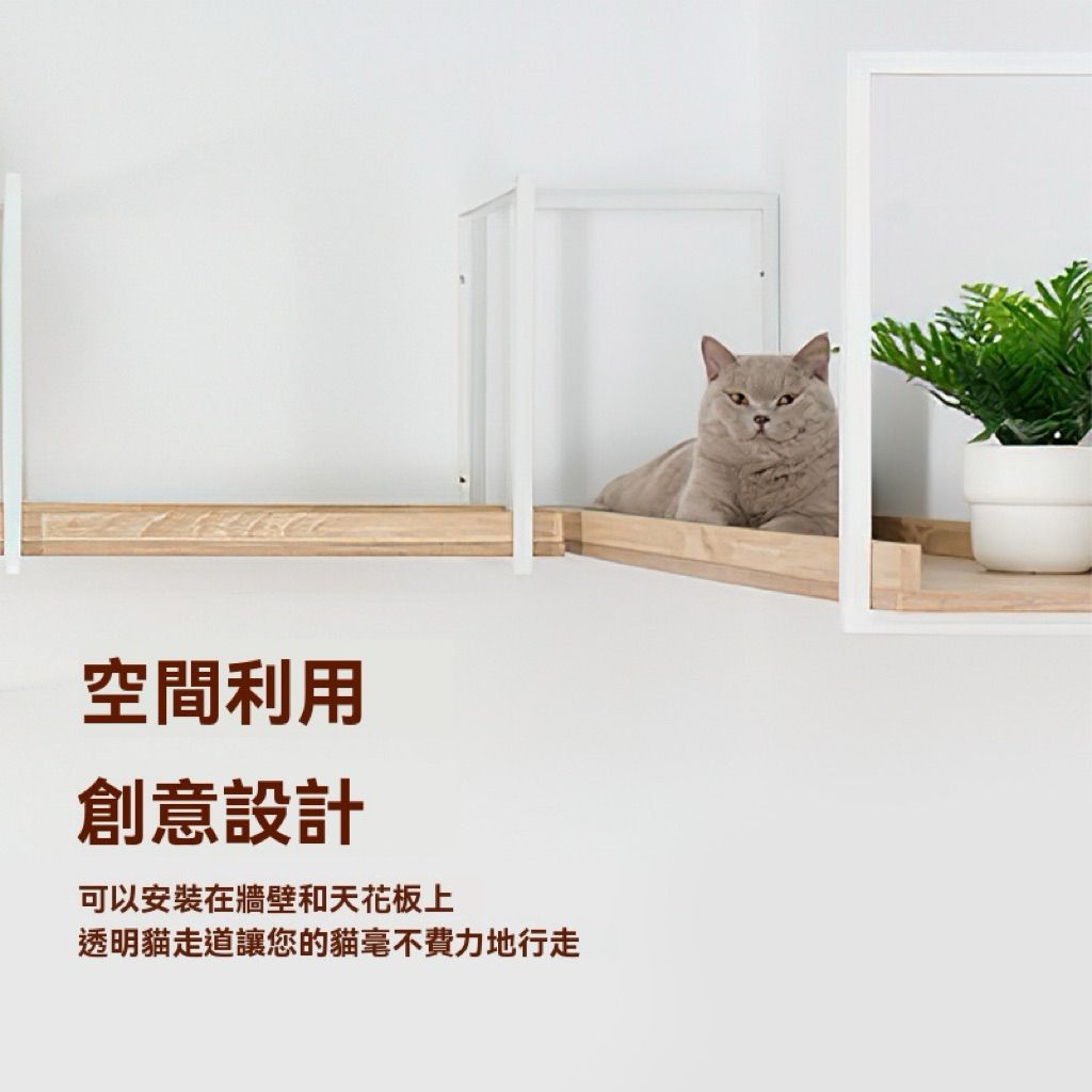 tw-11134207-81ztc-mg07knwaayob71