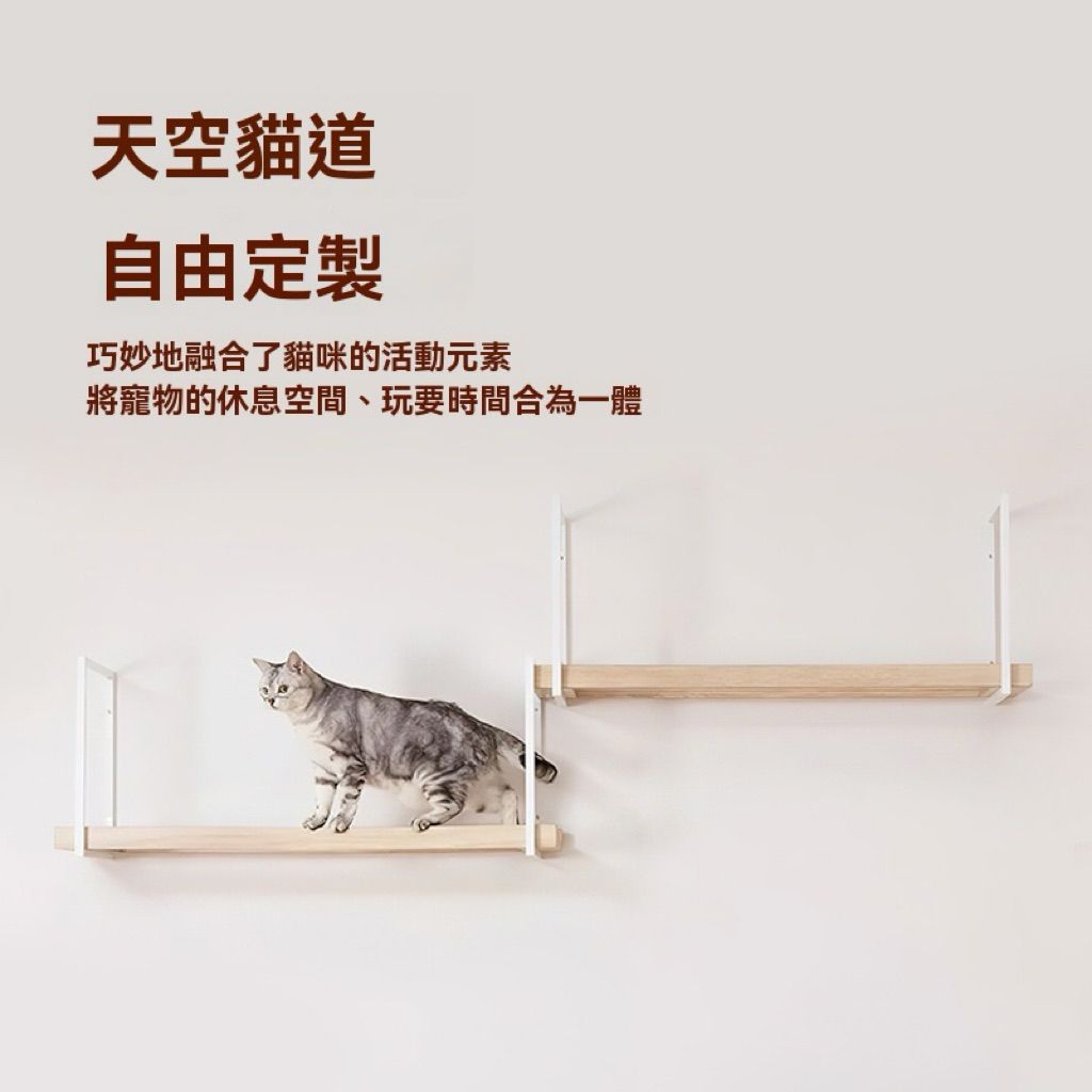 tw-11134207-81zth-mg07knvn0dn080