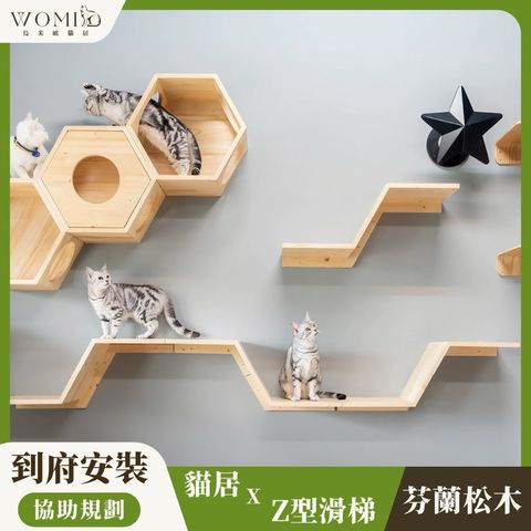 tw-11134207-81ztg-mfuf61thzcp9cd