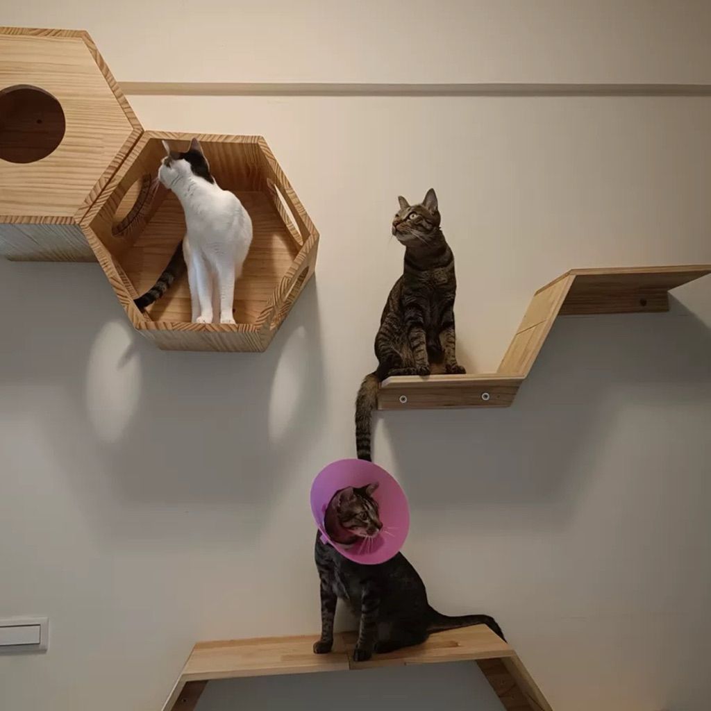 tw-11134207-81ztc-mfuf61trtbtb27