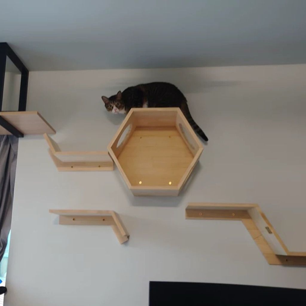 tw-11134207-81ztc-mfuf61u1ant7ec