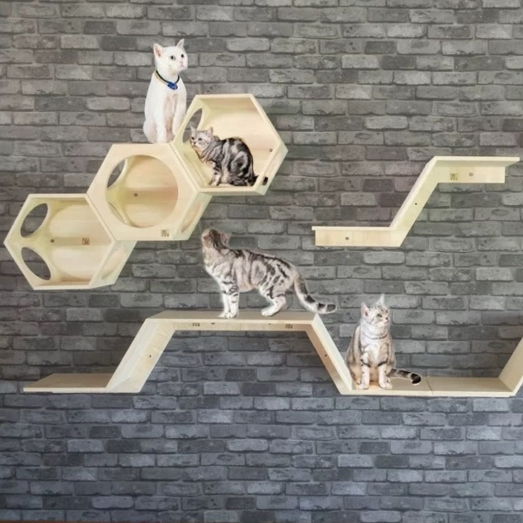 tw-11134207-81ztl-mfuf61ulz4st55