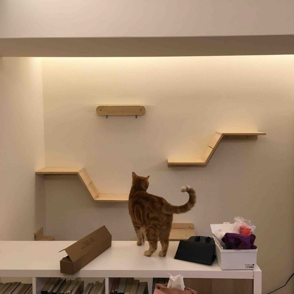 tw-11134207-81ztd-mfuf61up3i89a6