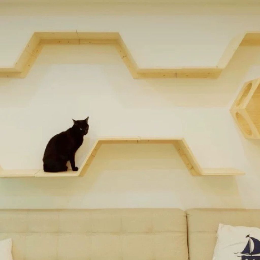 tw-11134207-81ztp-mfuf61uf2ia18b