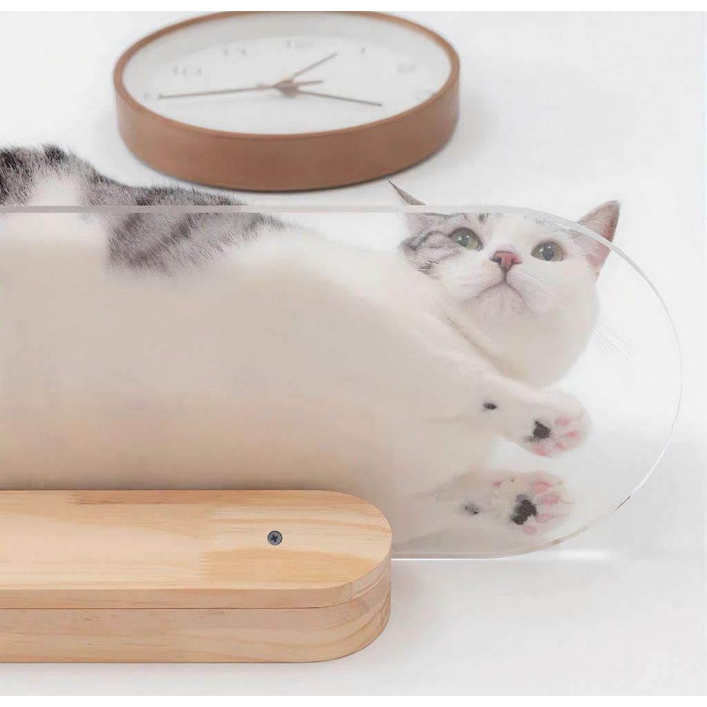 tw-11134207-81ztd-me51di9qzvgh74