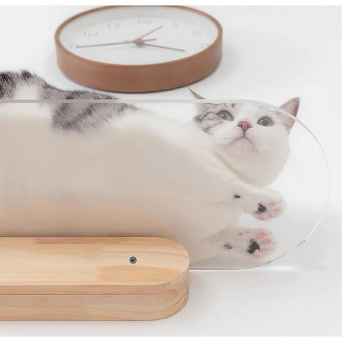 tw-11134207-81ztd-me51di9qzvgh74