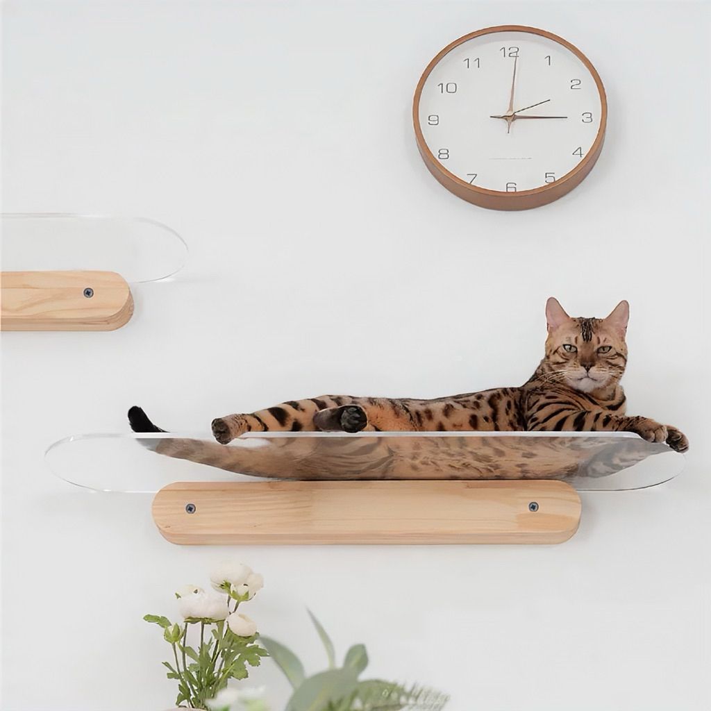 tw-11134207-81ztf-me51dia1or2d91