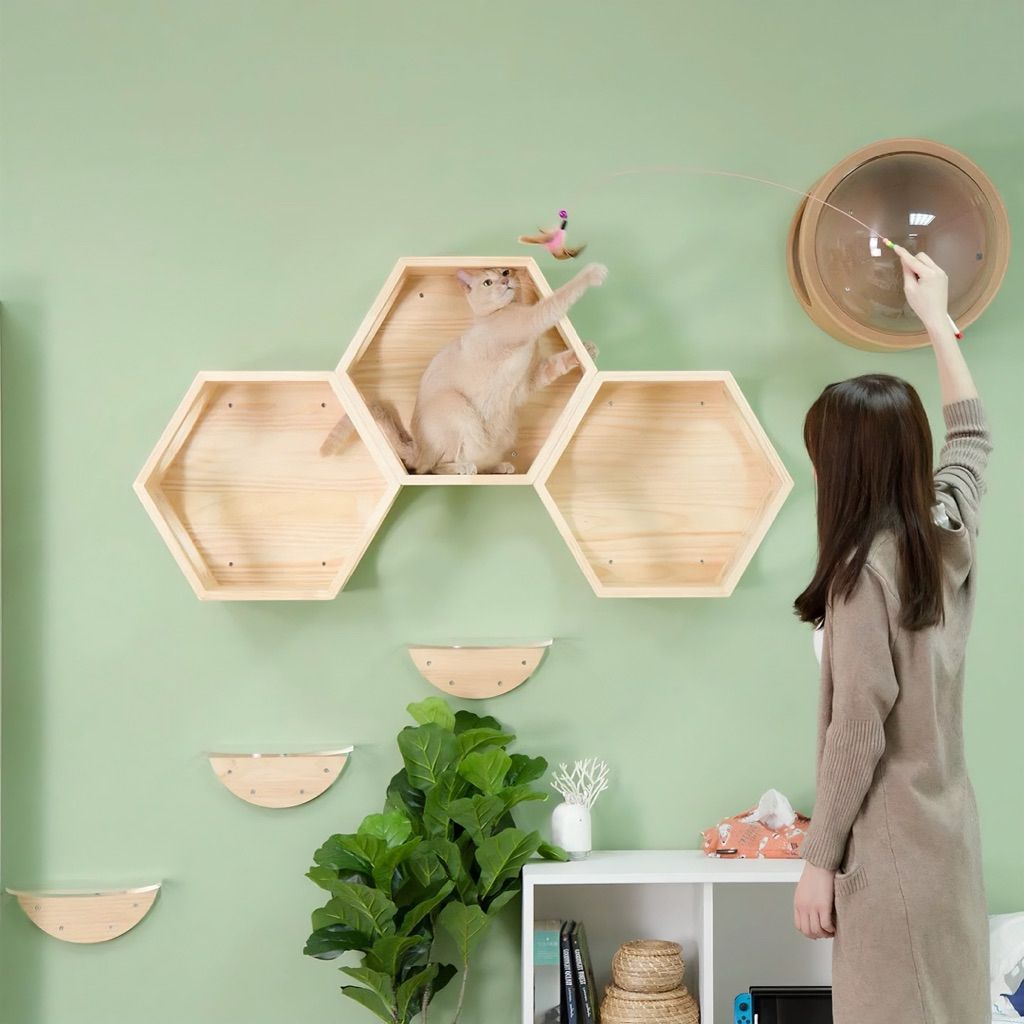 tw-11134207-81ztq-me51dia5ieps1b