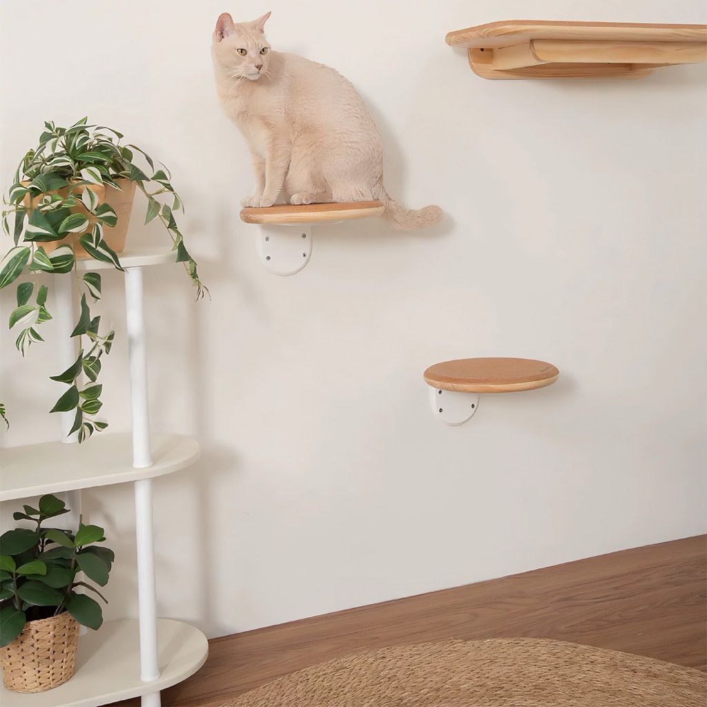 tw-11134207-81ztn-me51dia0wnpge7