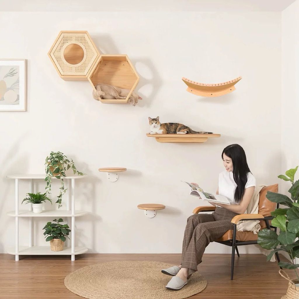 tw-11134207-81ztl-me6tseq5pqmeba