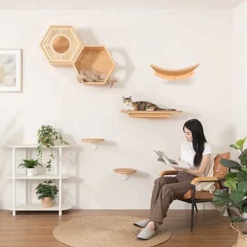 tw-11134207-81ztl-me6tseq5pqmeba