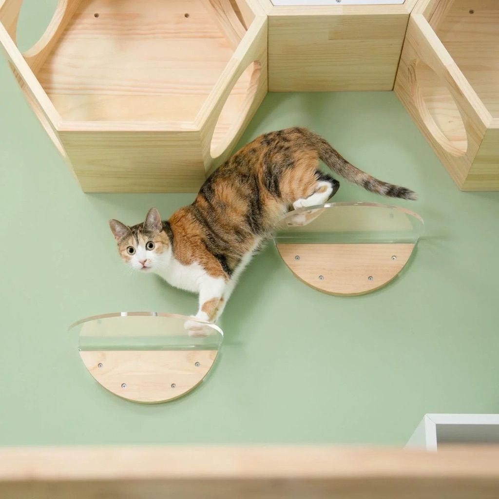 tw-11134207-81ztl-me7y1cbd5b0ne5