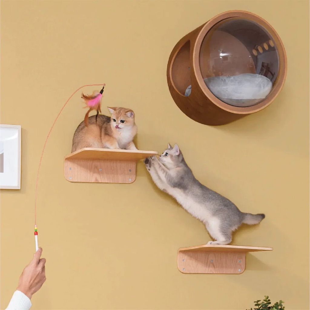 tw-11134207-81ztl-me7y1c9qb2md16