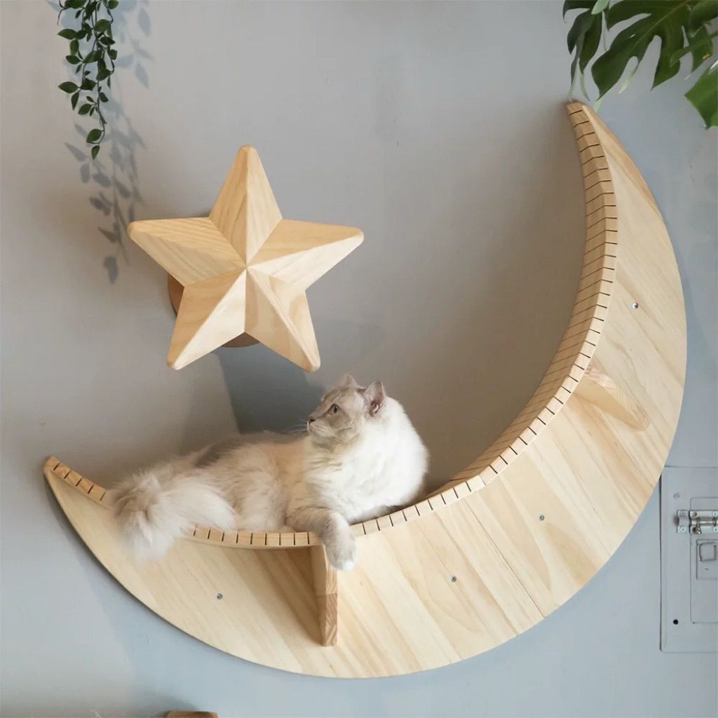 tw-11134207-81ztn-me6tucoxj4shb9