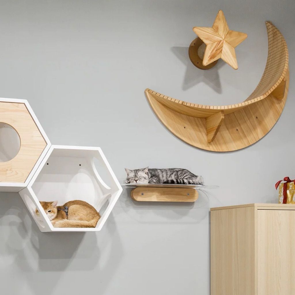 tw-11134207-81zto-me6tsepw8ema14