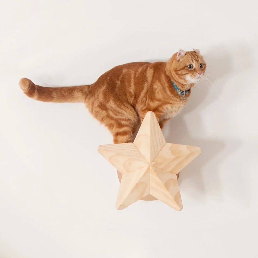 tw-11134207-81ztf-me6tseq5zklcb0