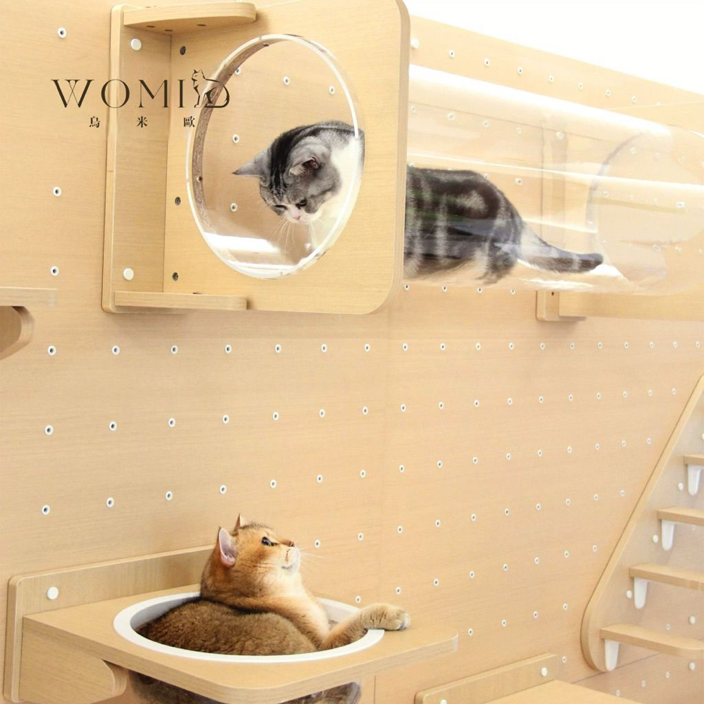 tw-11134207-820l7-mk3wo4wov5z6d3