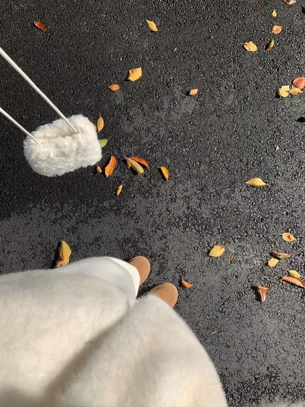 2af07a56c223fed5c5c9f483cf75bb74