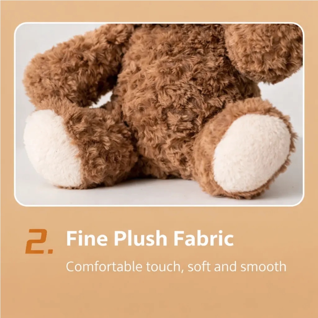 bear_detail_2_english