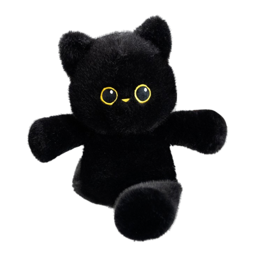 black-cat