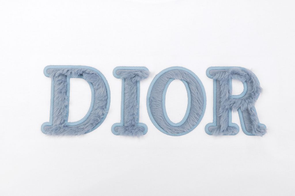 CD Inspired Blue Velvet Letter Embroidered Loose Fit Tee