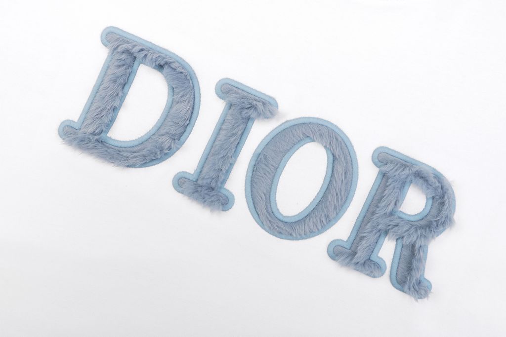 CD Inspired Blue Velvet Letter Embroidered Loose Fit Tee