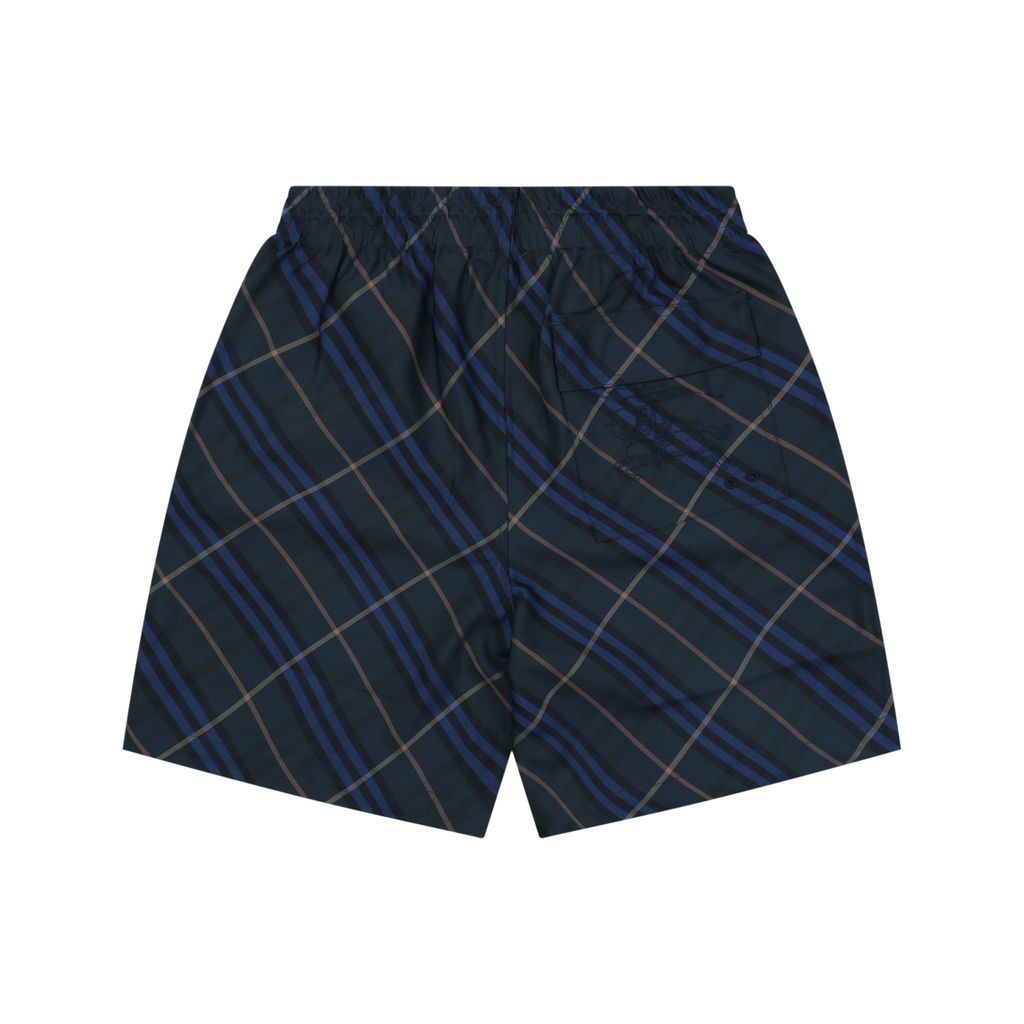 Burberry Blue Stripe Check Nylon Shorts