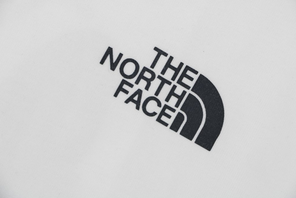 The North Face Forest Print Oversized T-Shirt