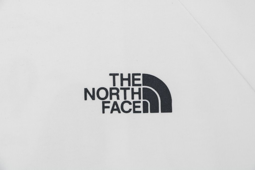The North Face Forest Print Oversized T-Shirt