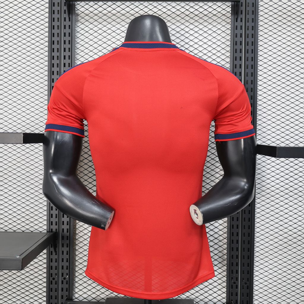 Spain Special Edition Player Version Football Jersey