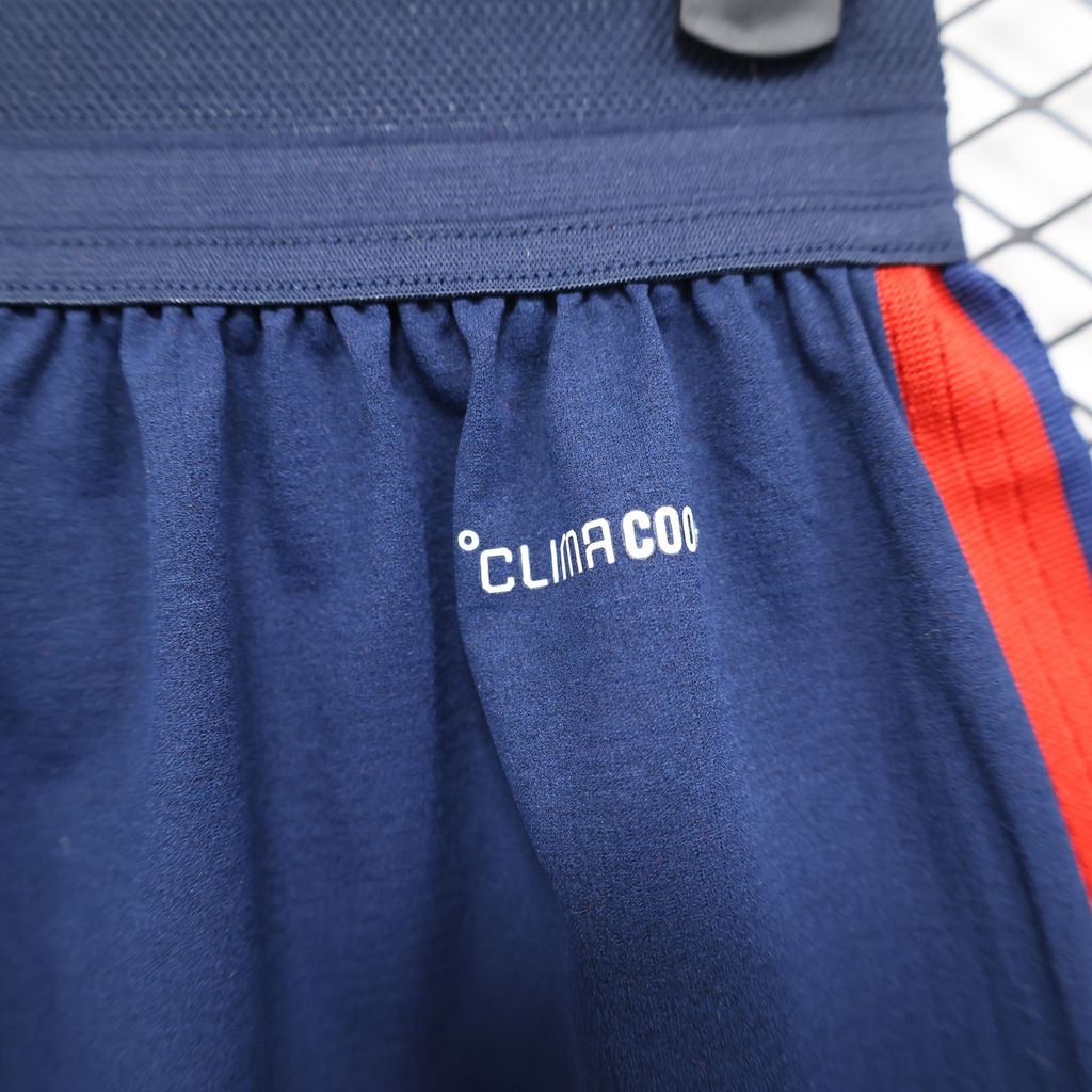 Spain Football Training Shorts