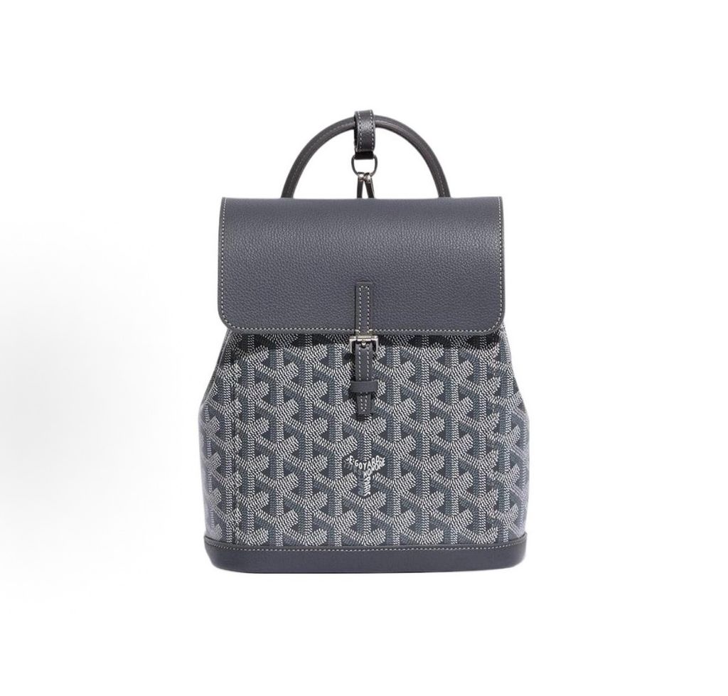 Goyard Alpin Mini Backpack ALPIN2MINTY51CL51P Grey Goyardine Canvas