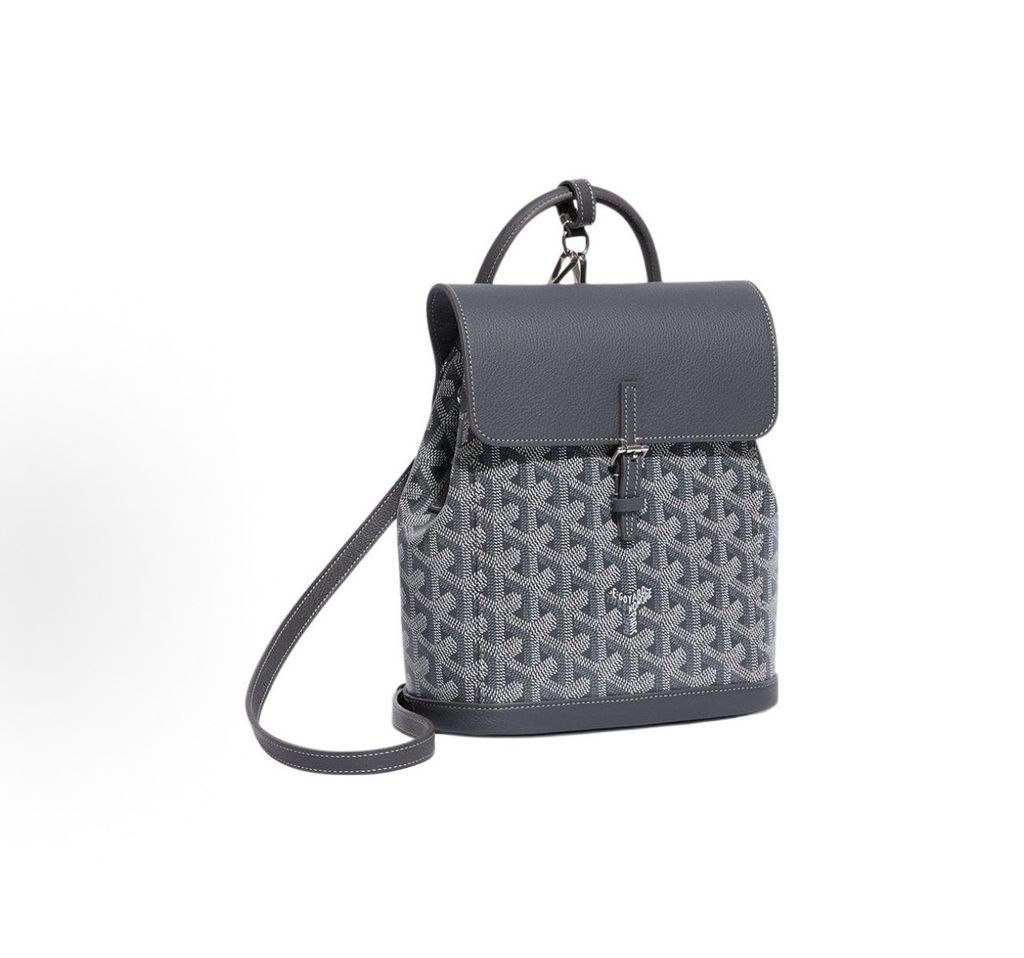 Goyard Alpin Mini Backpack ALPIN2MINTY51CL51P Grey Goyardine Canvas