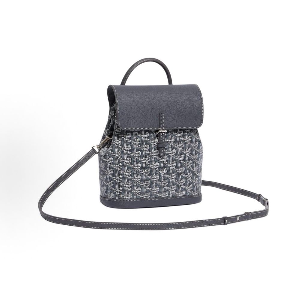 Goyard Alpin Mini Backpack ALPIN2MINTY51CL51P Grey Goyardine Canvas