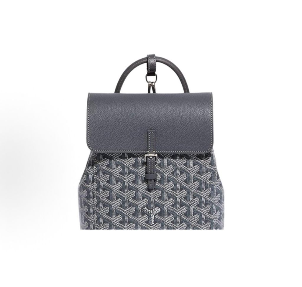 Goyard Alpin Mini Backpack ALPIN2MINTY51CL51P Grey Goyardine Canvas