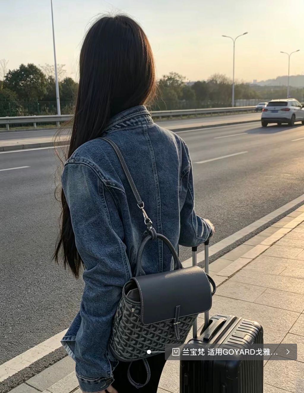 Goyard Alpin Mini Backpack ALPIN2MINTY51CL51P Grey Goyardine Canvas