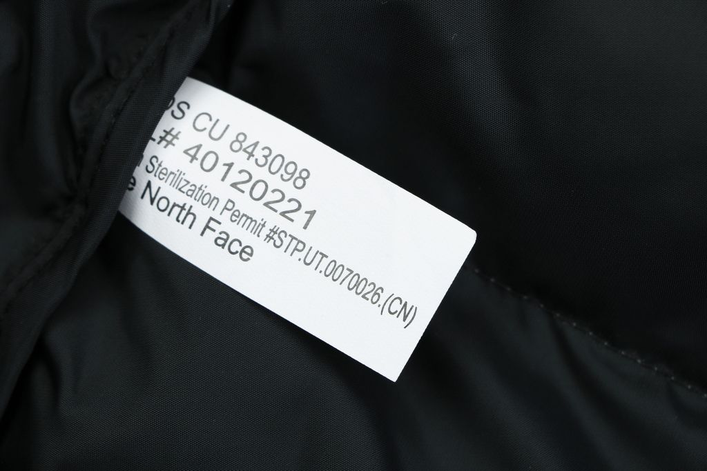 The North Face 1996 700 fill down jacket graphite grey 40D nylon water repellent windproof puffer 350g down fill YKK zipper sizes XS-XXL