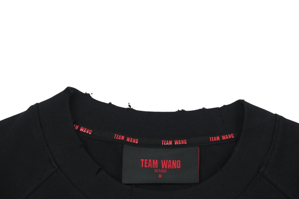 TEAM WANG x BBC distressed letter print long sleeve T-shirt 320gsm combed cotton washed front back digital print woven tape relaxed unisex sizes 0 1 2