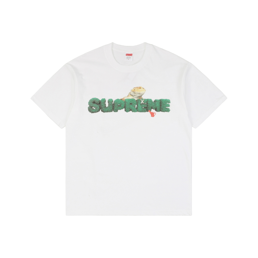 Untitled design (87)